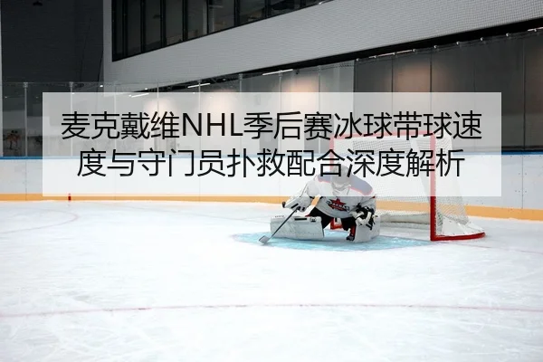 麦克戴维NHL季后赛冰球带球速度与守门员扑救配合深度解析