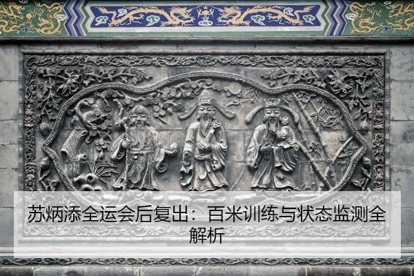 su-bing-tian-quan-yun-hui-hou-fu-chu-bai-mi-xun-lian-yu-zhuang-tai-jian-ce-quan-jie-xi-2-632.jpg