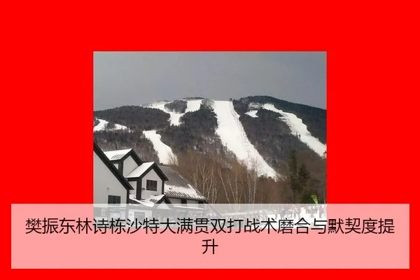 樊振东林诗栋沙特大满贯双打战术磨合与默契度提升