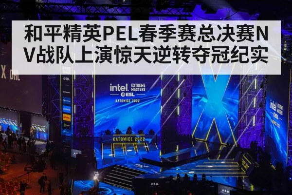 和平精英PEL春季赛总决赛NV战队上演惊天逆转夺冠纪实
